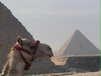 giza.html