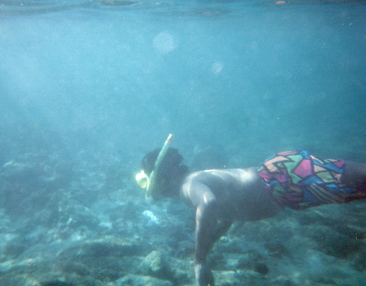 underwater_bigisland.html2